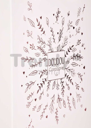 Plyšový medvedík Doudou 25 Years Musical Night Light Star Projector Pink Doudou et Compagnie so svetlom hudbou a bielym šumom ružový 19 cm od 0 mes