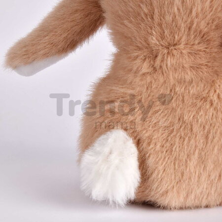 Plyšový zajačik s hviezdičkou Ryby Brown Bunny Pisces Astro Plush with Comforter Doudou et Compagnie v darčekovom balení hnedý 12 cm od 0 mes DC4662