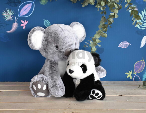 Plyšová koala Histoire d’ Ours sivá 35 cm od 0 mes HO2970