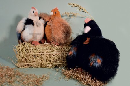 Plyšová sliepočka Les Poulettes Histoire d’ Ours béžová 20 cm od 0 mes