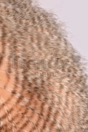 Plyšová sliepka Madame Poule XXL Histoire d’ Ours oranžová 50 cm od 0 mes