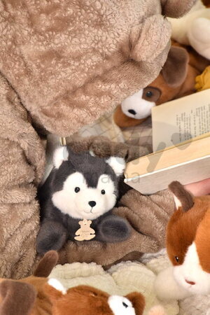 Plyšový vlk s ťažkým bruškom P'tit Relax Wolf Histoire d’ Ours sivý 22 cm od 0 mes