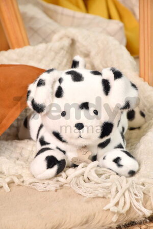Plyšový psík dalmatín s ťažkým bruškom P'tit Relax Dalmatian Histoire d’ Ours čierno-biely 22 cm od 0 mes
