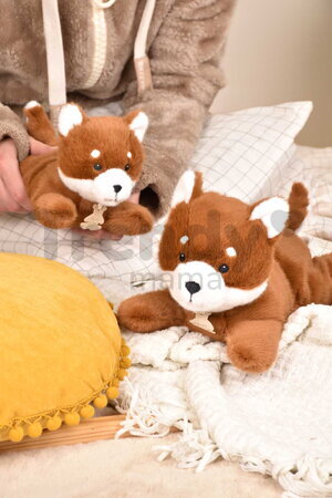 Plyšová panda červená s ťažkým bruškom P'tit Relax Red Panda Histoire d’ Ours oranžová 22 cm od 0 mes