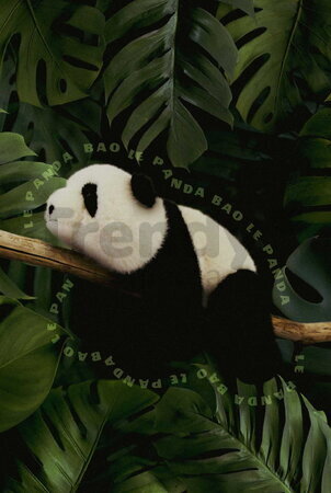 Plyšová panda Bao The Panda Histoire d’ Ours čierno-biela 32 cm od 0 mes HO3336