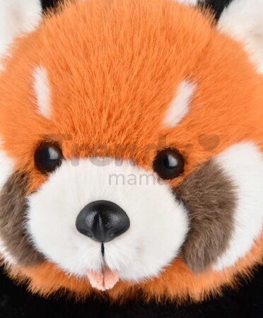 Plyšová panda červená Sierra The Red Panda Histoire d’ Ours oranžová 55 cm od 0 mes HO3341