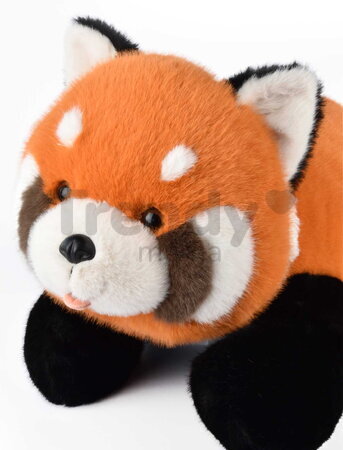 Plyšová panda červená Sierra The Red Panda Histoire d’ Ours oranžová 55 cm od 0 mes HO3341