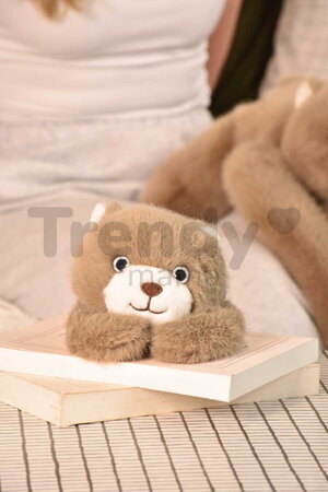 Plyšový medvedík na objímanie The Glue Pots Bear Magnetic Histoire d’ Ours magnetický hnedý 30 cm od 24 mes