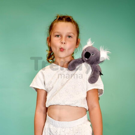 Plyšová koala na objímanie The Glue Pots Koala Bear Magnetic Histoire d’ Ours magnetická sivá 30 cm od 24 mes