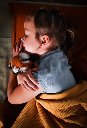 Plyšová panda červená na objímanie The Glue Pots Red Panda Magnetic Histoire d’ Ours magnetická oranžová 30 cm od 24 mes