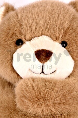 Plyšový medvedík na objímanie The Glue Pots Bear Histoire d’ Ours hnedý 40 cm od 24 mes