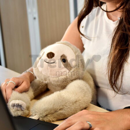 Plyšový leňochod na objímanie The Glue Pots Sloth Histoire d’ Ours hnedý 40 cm od 24 mes