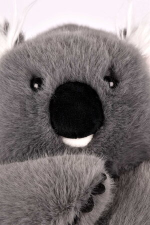 Plyšová koala na objímanie The Glue Pots Koala Bear Histoire d’ Ours sivá 40 cm od 24 mes