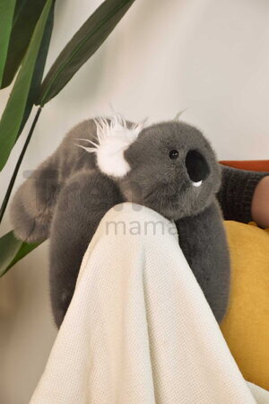 Plyšová koala na objímanie The Glue Pots Koala Bear Histoire d’ Ours sivá 40 cm od 24 mes