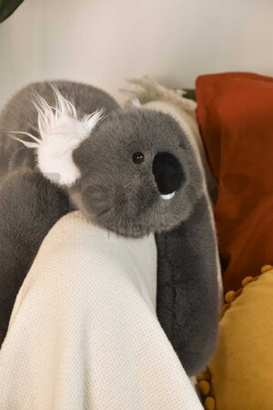 Plyšová koala na objímanie The Glue Pots Koala Bear Histoire d’ Ours sivá 40 cm od 24 mes