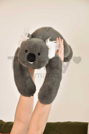 Plyšová koala na objímanie The Glue Pots Koala Bear Histoire d’ Ours sivá 40 cm od 24 mes