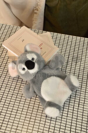 Plyšová koala na bábkové divadlo The Glue Pots Koala Puppet Histoire d’ Ours sivá 24 cm od 0 mes HO3369