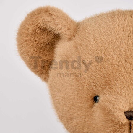 Veľký plyšový medveď Clémentin Peanut Praline Histoire d’ Ours hnedý 80 cm od 0 mes