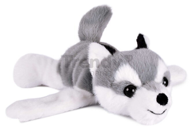 Plyšový psík husky na zápästie Husky Bracelet Slap The Glue Pots Histoire d’ Ours sivý 25 cm od 24 mes HO3423