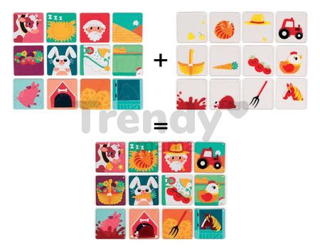 J02778 b janod pexeso