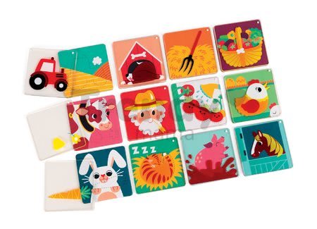 J02778 c janod pexeso