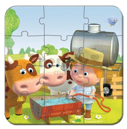 J02886 d janod puzzle
