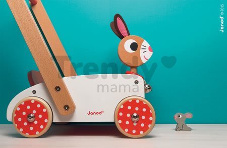 J05997 janod ambient