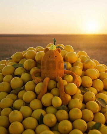 Plyšová príšerka s citrónom John Lemon MIAM! Doudou et Compagnie oranžová 60 cm od 0 mes KI4623
