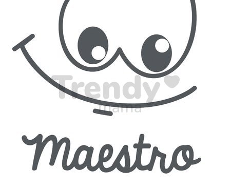 Logo smoby maestro