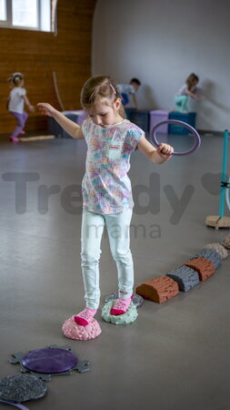 Piatra de echilibru pentru întărirea picioarelor și a echilibrului Kmeň MUFFIK gri