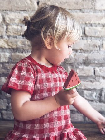 Drevené nanuky Ice Lolly Shop Tender Leaf Toys 6 druhov na stojane