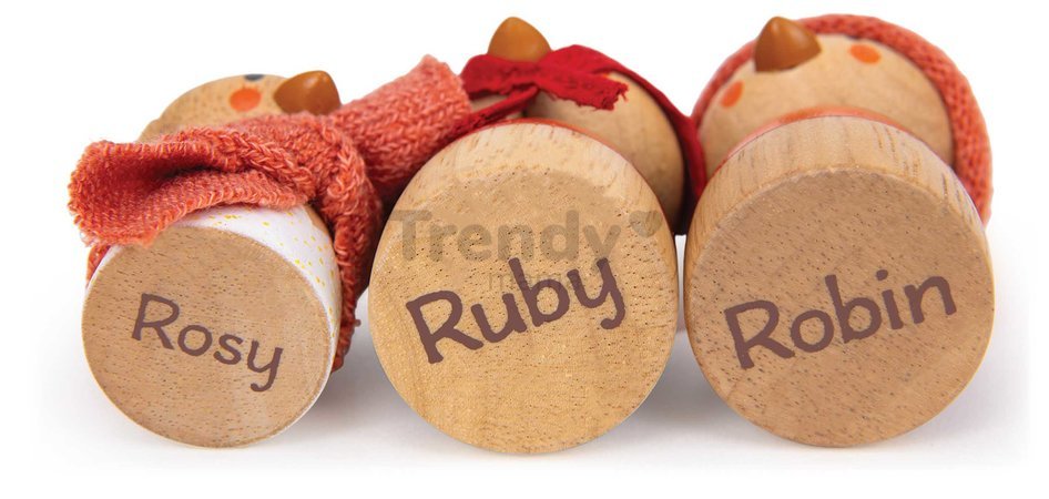 Drevené hniezdo Robin’s Nest Box Tender Leaf Toys s figúrkami vtáčikov a vajíčkom