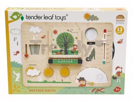 Drevená meteorologická stanica Weather Watch Tender Leaf Toys s drevenými pohľadnicami