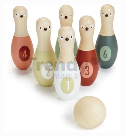 Drevené kolky s guľou Birdie Skittles Tender Leaf Toys 6 dielov v textilnej taške