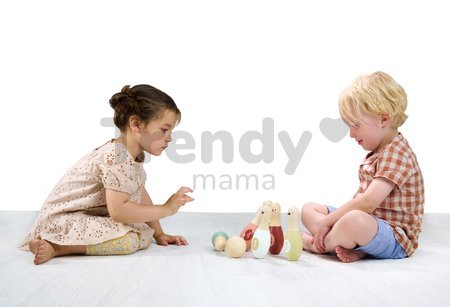 Drevené kolky s guľou Birdie Skittles Tender Leaf Toys 6 dielov v textilnej taške