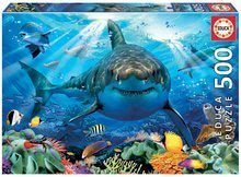 Puzzle Great White Shark Educa 500 piese și lipici Fix de la 11 ani