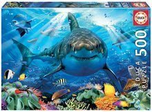 Puzzle Great White Shark Educa 500 dílků a Fix lepidlo od 11 let