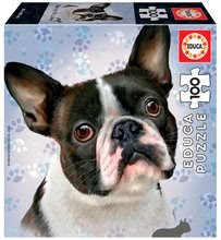 Puzzle Mini Box French Bulldog Educa 100 darabos 6 évtől