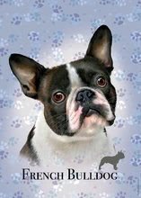 Puzzle Mini Box French Bulldog Educa 100 darabos 6 évtől