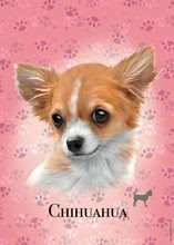Puzzle Mini Box Chihuahua Educa 100 darabos 6 évtől
