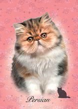 Puzzle Mini Box Persian Educa 100 darabos 6 évtől