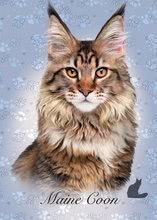 Puzzle Mini Box Maine Coon Educa 100 darabos 6 évtől