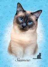 Puzzle Mini Box Siamese Educa 100 darabos 6 évtől