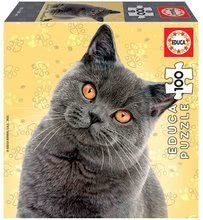 Puzzle Mini Box British Shorthair Educa 100 darabos 6 évtől