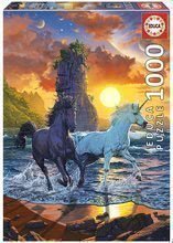 Puzzle Unicorns On Beach Vincent Hie Educa 1000 piese și lipici Fix de la 11 ani