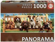 Puzzle panoráma Puppies on a bench Educa 1000 dílků a lepidlo Fix puzzle od 11 let