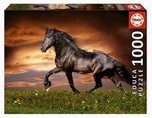 Puzzle Trotting Horse Educa 1000 dielov a Fix lepidlo