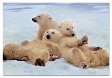 Puzzle Familie urs polar Educa cu 500 de piese de la vârsta de 11 ani