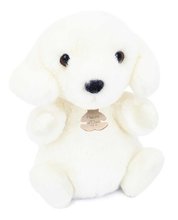 Plyšový psík The Little Companions Histoire d’ Ours biely 20 cm od 0 mes