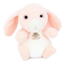 Plyšový zajačik The Little Companions Histoire d’ Ours ružový 20 cm od 0 mes